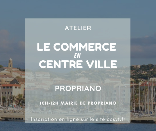 Atelier "Commerce en centre-ville"