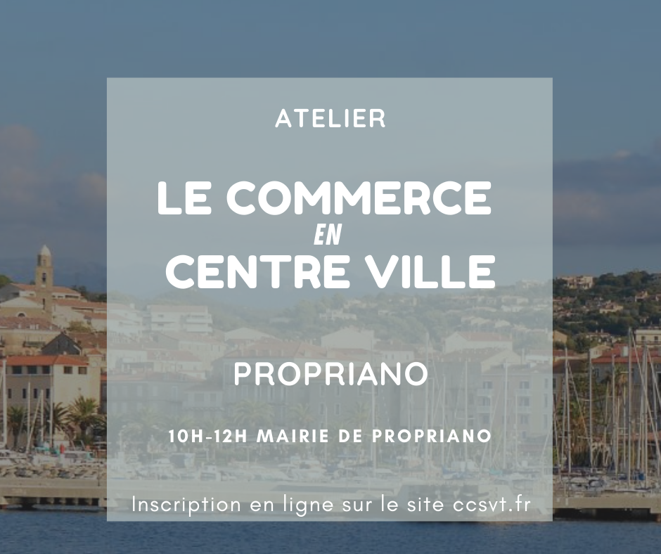 Atelier "Commerce en centre-ville"