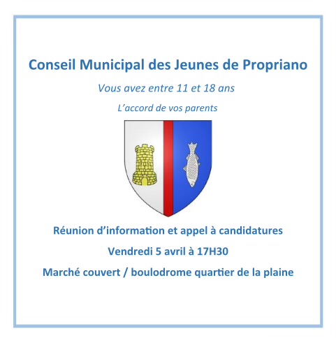 Conseil municipal des Jeunes : Appel à candidature