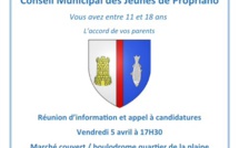 Conseil municipal des Jeunes : Appel à candidature